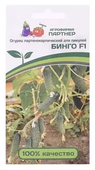 Семена огурец "Бинго", F1, 5 шт
