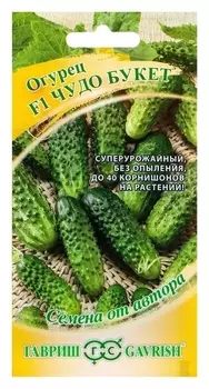 Семена огурец "Чудо букет" F1, суперурожайный, партенокарпический, 10 шт.