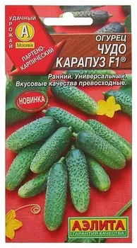 Семена Огурец "Чудо карапуз F1" (стандарт)