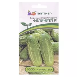 Семена огурец "Феличита", F1, 0,5 г