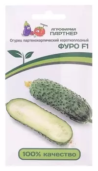 Семена огурец "Фуро", F1, 5 шт