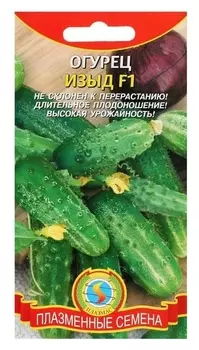 Семена огурец "Изыд", F1