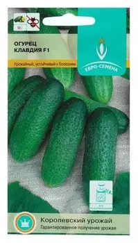 Семена огурец "Клавдия", F1, 10 шт