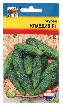 Семена огурец "Клавдия" F1,8-9 шт.