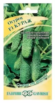 Семена огурец "Кураж" F1, скороспелый, партенокарпический, 10 шт.