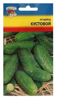 Семена огурец "Кустовой",0,5 гр
