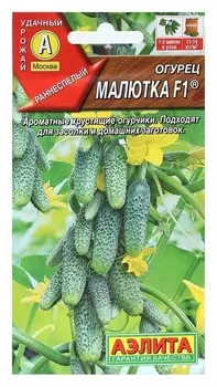 Семена огурец "Малютка", F1, 10 шт