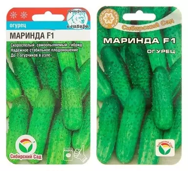 Семена огурец маринда F1, партенокарпический, 7 шт
