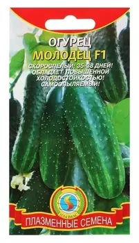 Семена огурец "Молодец", F1