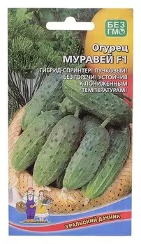 Семена огурец муравей F1 0.3гр