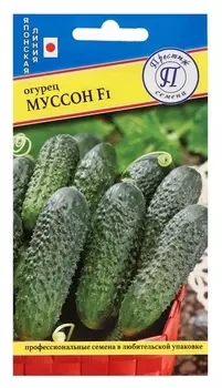 Семена огурец "Муссон" F1, 5 шт