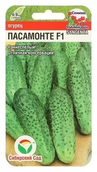 Семена огурец пасамонте F1, самоопыляемый, 5шт