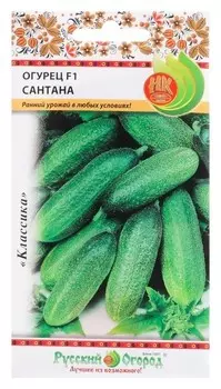Семена огурец "Сантана" F1, среднеспелый, партенокарпический
