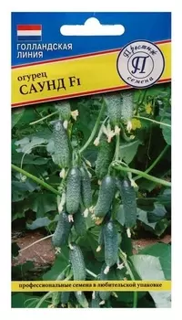 Семена огурец "Саунд" F1, 5 шт