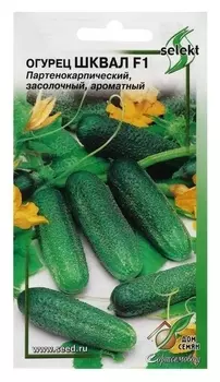 Семена огурец шквал F1