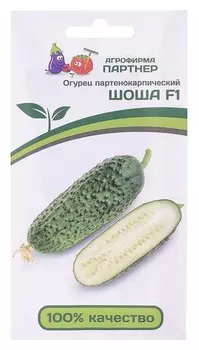 Семена огурец "Шоша", F1, 5 шт