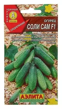 Семена огурец "Соли сам F1", 10 шт