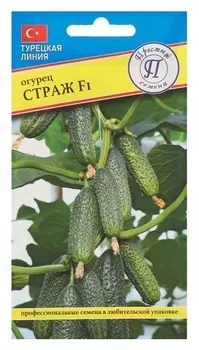 Семена огурец "Страж" F1, 5 шт