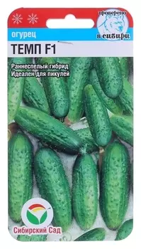 Семена огурец темп F1,партенокарпический, 5 шт