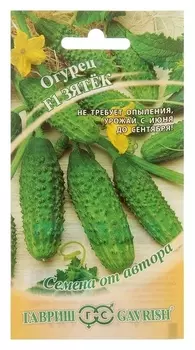 Семена огурец "Зятек" F1, скороспелый, партенокарпический, 10 шт.