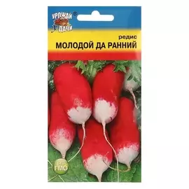 Семена редис "Молодой-да-ранний", 2 гр