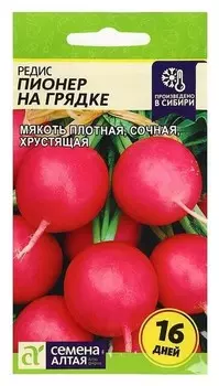 Семена редис "Пионер на грядке", ультраскороспелый, цп, 2 г