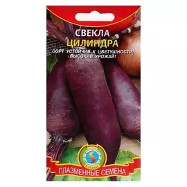 Семена свекла "Цилиндра", среднеспелая, 2-2.5 г