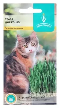 Семена трава для кошек, 10 г