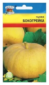 Семена тыква "Бокогрейка", 1 г