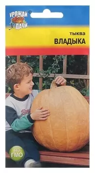 Семена тыква "Владыка", 1 г