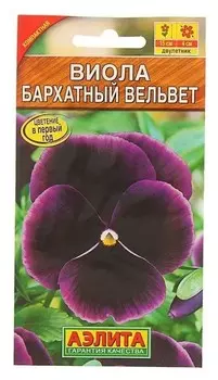 Семена Виола "Бархатный вельвет"