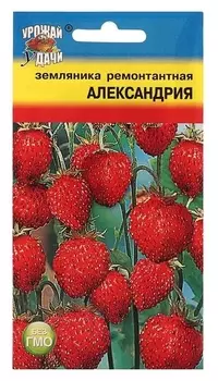 Семена земляника "Александрия" рем.,0,04 гр