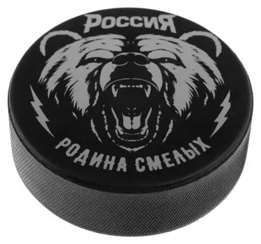 Шайба взрослая Россия