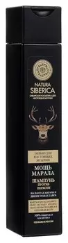 Шампунь для мужчин против перхоти "Мощь марала"