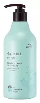 Шампунь с кактусом Jeju Prickly Pear Hair Shampoo