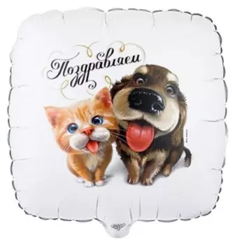 Шар фольгированный 18" «Поздравляем!», питомцы, квадрат