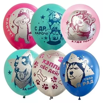 Шар латексный 12" «С ДР! хаски», набор 25 шт.