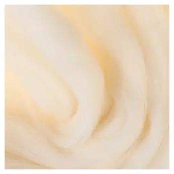 Шерсть для валяния (205 белый), 50 г