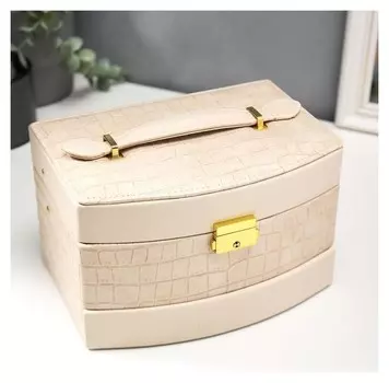 Шкатулка кожзам для украшений "Сливки. глянец и питон" 13х21,5х15 см