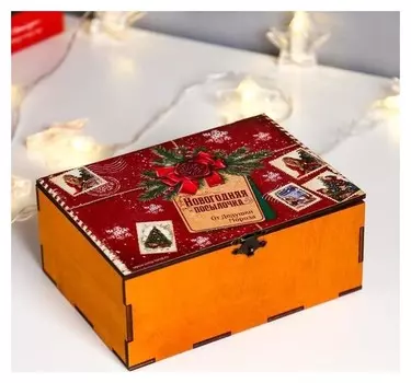 Шкатулка-посылка "Посылочка" 19х14х8 см