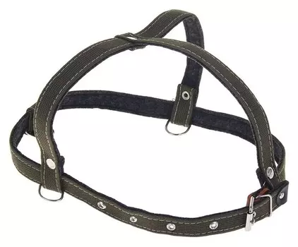 Шлейка брезентовая на фетре многоразмерная, 2,5 см, ОШ 48 см, ОГ 76-90 см