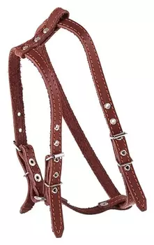 Шлейка кожаная "Прогулочная", 1,5 см, обхват шеи 35-50 см, обхват груди 60-68 см