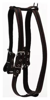 Шлейка кожаная "Прогулочная", 2,5 см, обхват шеи 57-76 см, обхват груди 74-84 см, чёрная