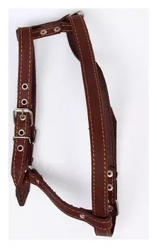 Шлейка кожаная "Прогулочная", 2 см, ОШ 46-58 см, ОГ 78-85 см, коричневая