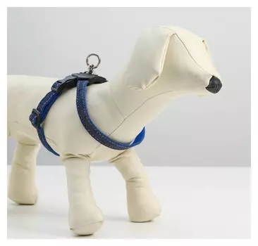 Шлейка многоразмерная регулируемая быстросъемная, ог+ош 40-70 см, до 15 кг, джинс-синяя