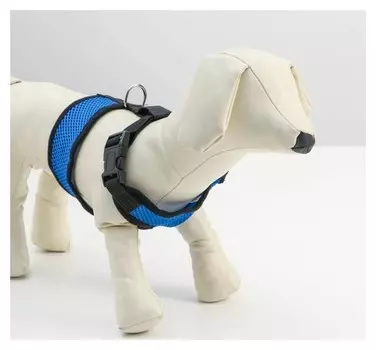 Шлейка мягкая из неопрена, размер L, синяя