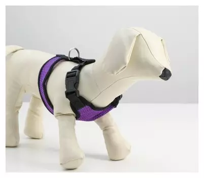 Шлейка мягкая из неопрена, размер M, фиолетовая