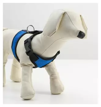 Шлейка мягкая из неопрена, размер M, синяя