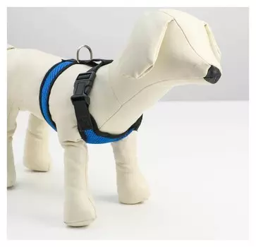 Шлейка мягкая из неопрена, размер S, синяя