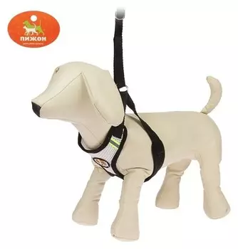 Шлейка регулируемая дышащая, светоотражающая, размер S, черная